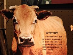 -台州博物馆