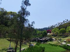 -东莞植物园