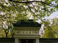 -上海佘山国家森林公园天马山园