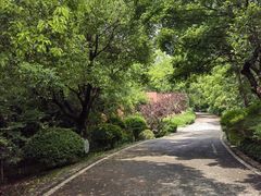 -南京市江宁方山