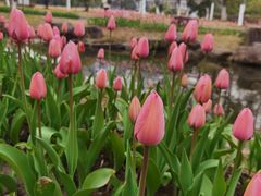 -杭州电子科技大学(下沙校区)