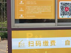 -大宁郁金香公园-停车场