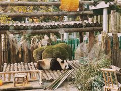 -大连森林动物园