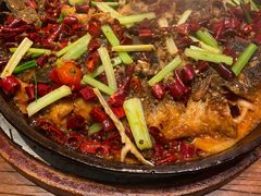 -老板恋上鱼(高新万达店)