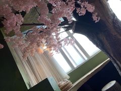 -猫猫幼稚园·撸猫·桌游·电玩