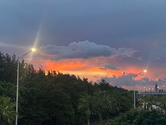 -宝安西湾红树林湿地公园