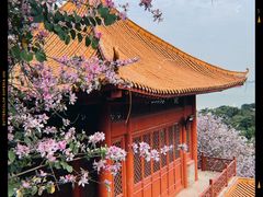 -南沙天后宫景区