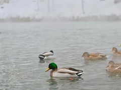 -水磨沟公园