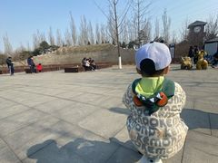 -永定河休闲森林公园