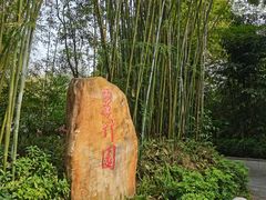-广州市白云山风景名胜区