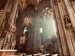-斯蒂芬主教座堂(Stephansdom)