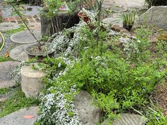 -谷咖啡·鲜花绿植花园餐厅