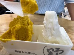 南瓜-野人先生Gelato(上海长宁龙之梦店)
