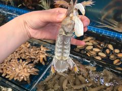 -南京众彩农副产品配送有限公司
