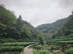 -十九峰景区-倒脱靴