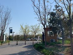 -东郊湿地公园