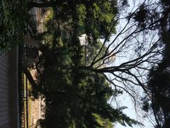 -南通博物苑-崇川人民公园