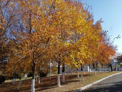 -长春世界雕塑园冰雪艺术天地