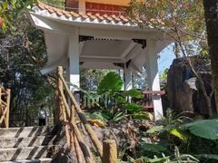 -广州市流溪河国家森林公园