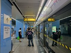 -大龙山(地铁站)