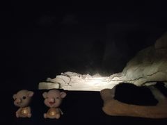 -大姆山草场