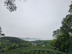 -西湖风景区十里琅珰-五云山
