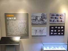 -海口市博物馆