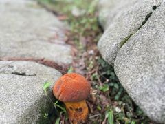 -罗田薄刀峰风景区
