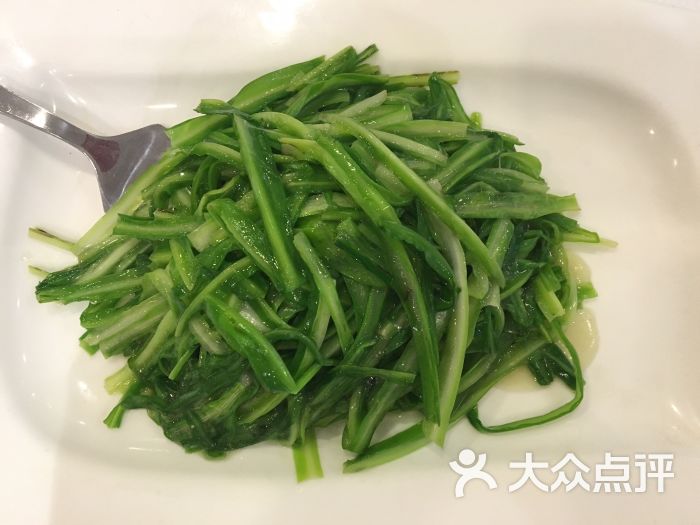 新加坡海鲜共和国(名胜世界圣陶沙海滨坊)青龙菜清炒图片 第1张