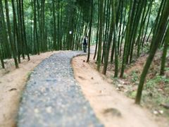 -宁波浙东大竹海景区