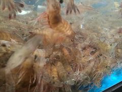 -盒马鲜生(曜一城店)