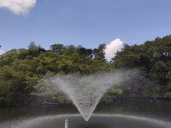 -深圳野生动物园