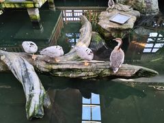 -南宫五洲植物乐园