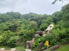 -火炉山森林公园