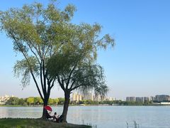 -高子水居