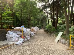 -叶家花园