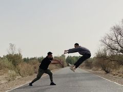 -金塔沙漠胡杨林景区