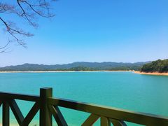 -广州市流溪河国家森林公园
