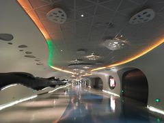 -上海中心大厦