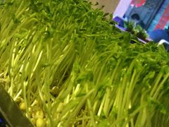 -老表记广西宵夜螺蛳鸭脚煲(西大店)