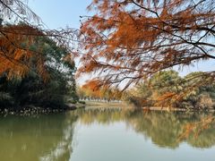 -艾溪湖湿地公园