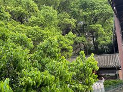-巴倒烫陆派重庆火锅(南山店)