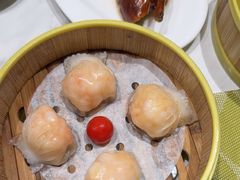 -顺意·顺德家乡菜(国际人才大厦店)