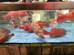 -江杨农产品批发市场