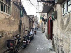 -老炳·七丛松甘草水果