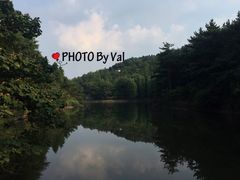 -四明山国家森林公园