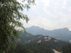 -九龙池景区