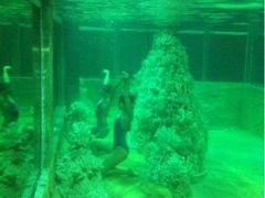 iphone_upload_pic-肇庆奥威斯酒店