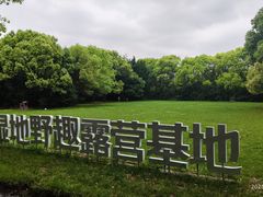 -同里国家湿地公园