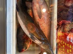 -江湖水乡铁锅炖魚(周庄嘉园店)